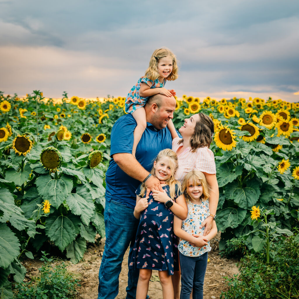 Sunflower Fields in Shelly Idaho are only available in the Fall for photo usage. 