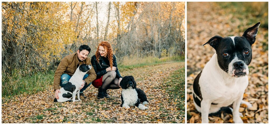 Rich and romantic fall idaho falls engagement photo session downtown