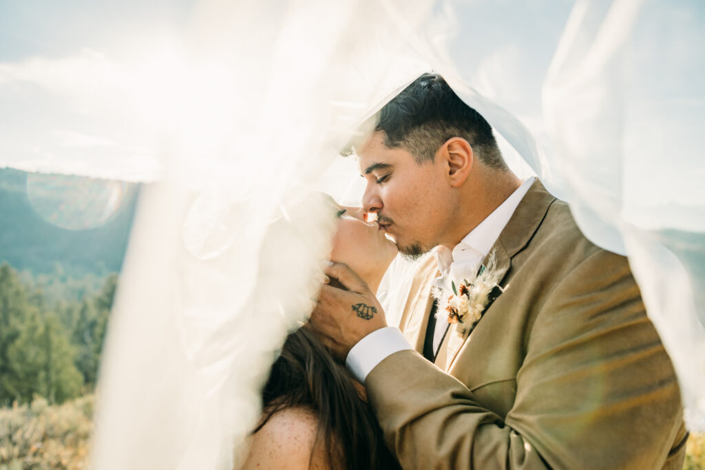 The Wedding Tree Wyoming Bridger-Teton National Forest Wedding Elopement