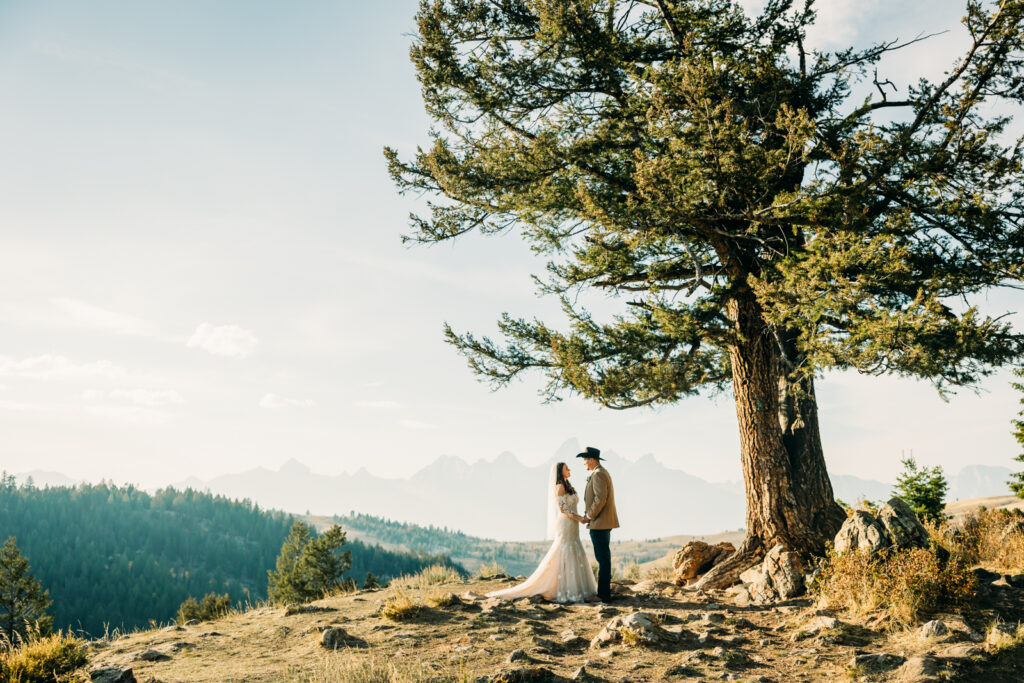 The Wedding Tree Wyoming Bridger-Teton National Forest Wedding