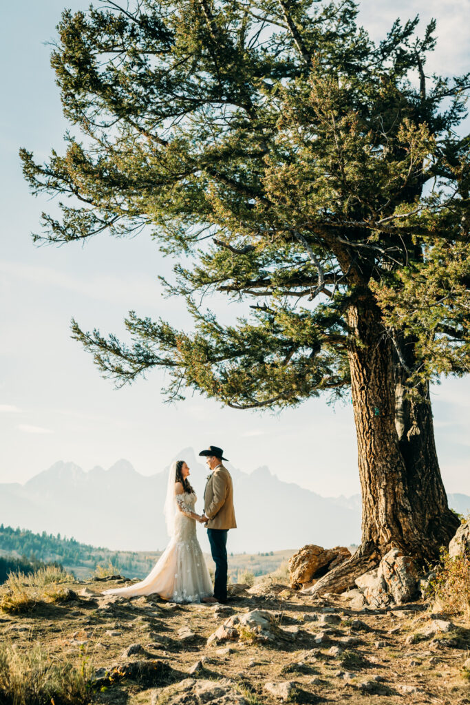 Wedding Tree Sunset Wedding Ceremony