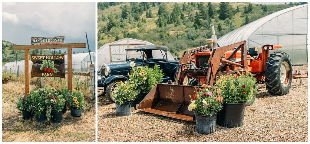 Teton Valley Wedding Victor Sweet Hollow Farm Organic vegetables