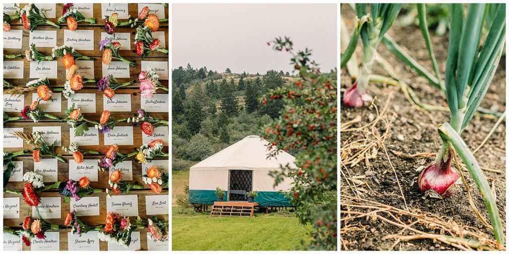 Teton Valley Wedding Victor Sweet Hollow Farm Organic vegetables