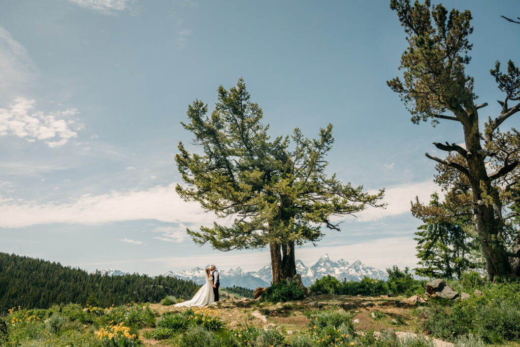 Just married couple celebrating their Wyoming mountain elopement