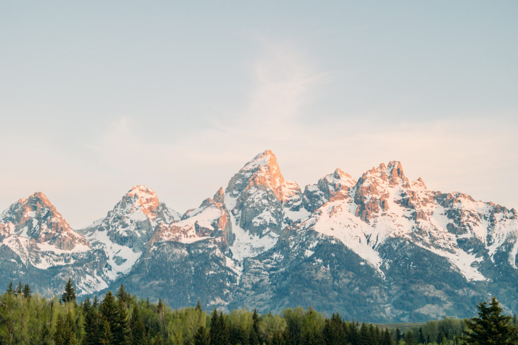 Grand teton family photographer tickling fight