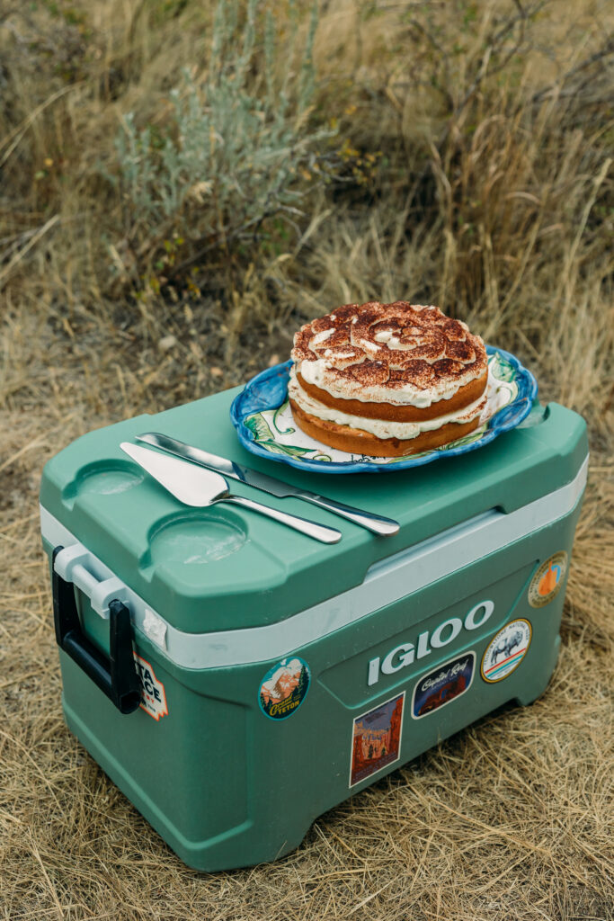 Eloping couple with the Teton mountain range in Grand Teton National Park