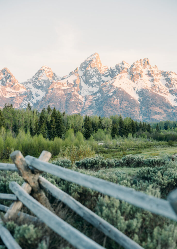Sunrise at Grand Teton National Park Schwabacher's Landing family photo session in summer